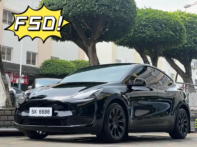 Tesla Model Y Увеличенный запас хода, полный привод