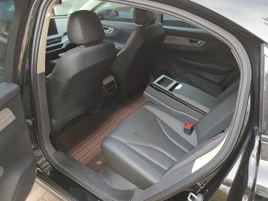 صورة 11 - Hongqi E-QM5