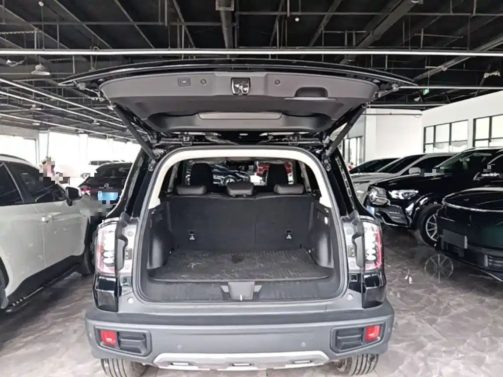 Haval Dargo 2025 2024 1.5T DCT Border Collie Edition