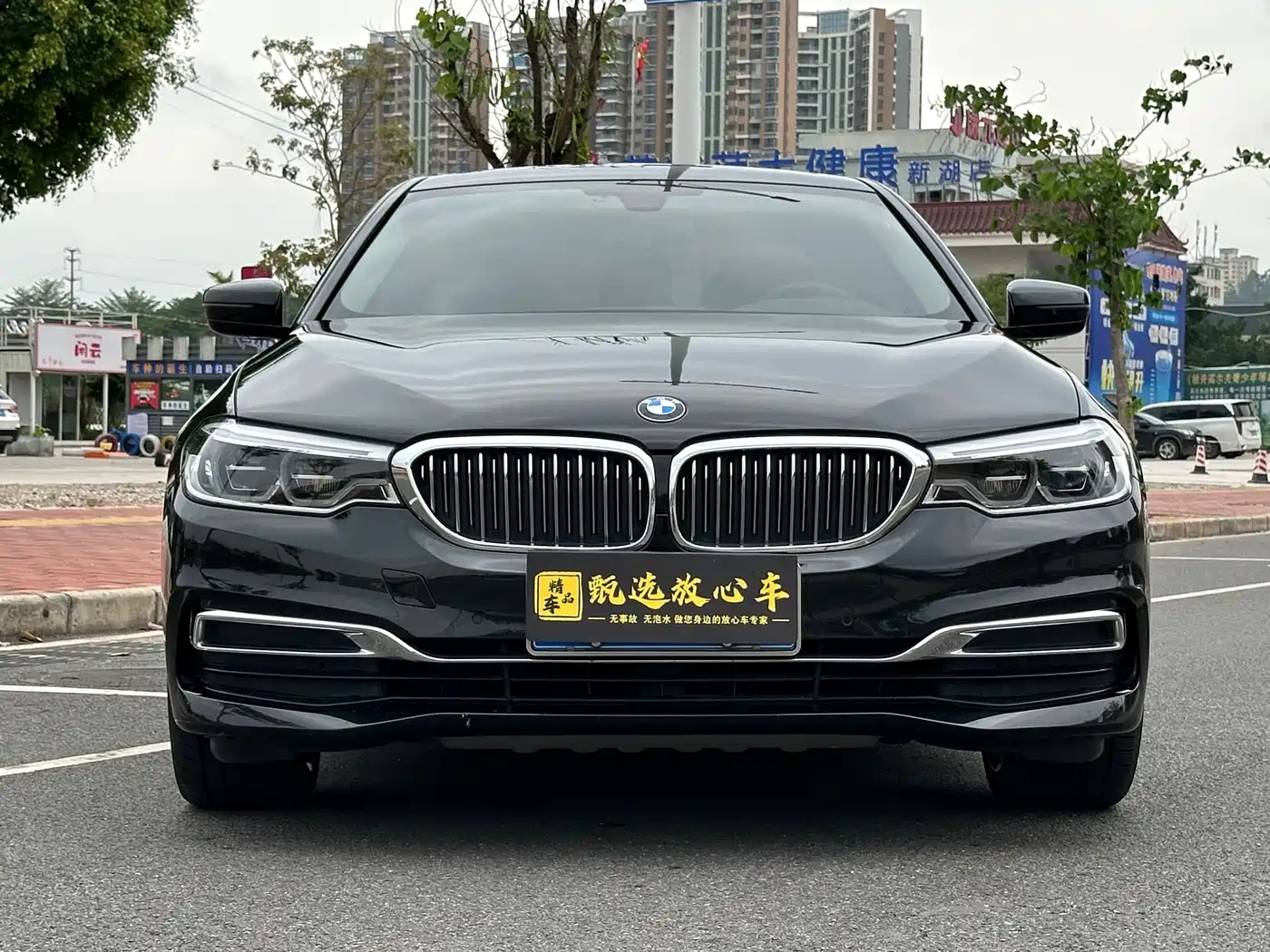 BMW 5 Series 2020 530Li Leading M Sport Package фото 2