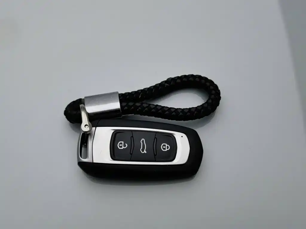 Geely Galaxy Panda 2023 2023 Panda Mini 200km Endurance Bear