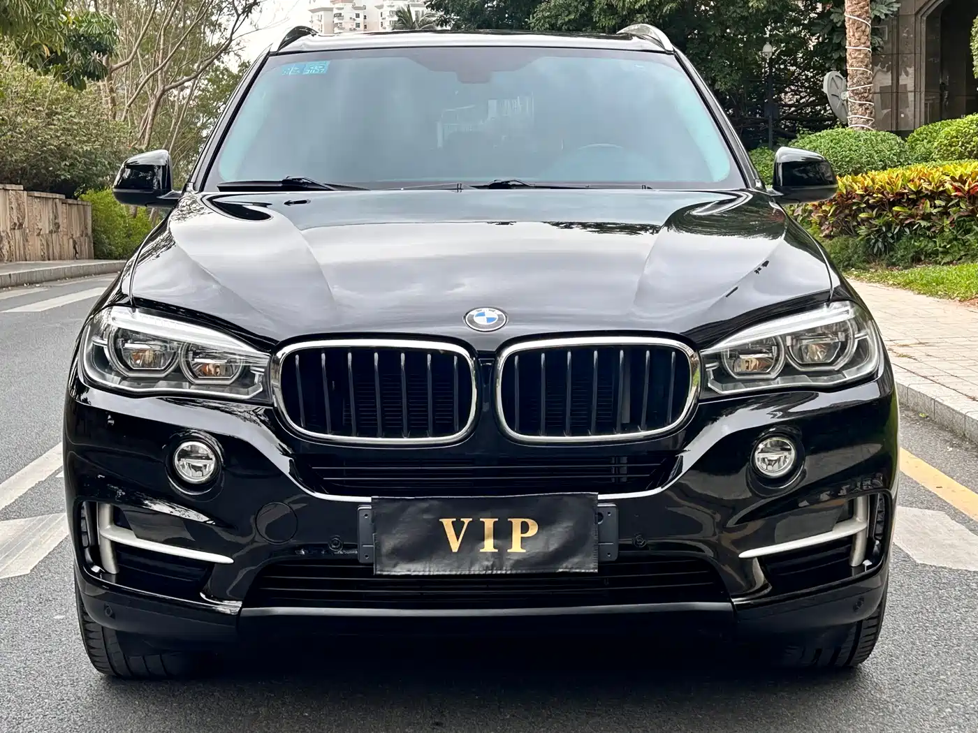 BMW X5 (Import) 2018 xDrive35i Elegant Model фото 2
