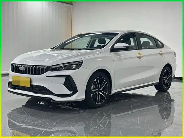 GEELY AUTOMOBILE BINRUI