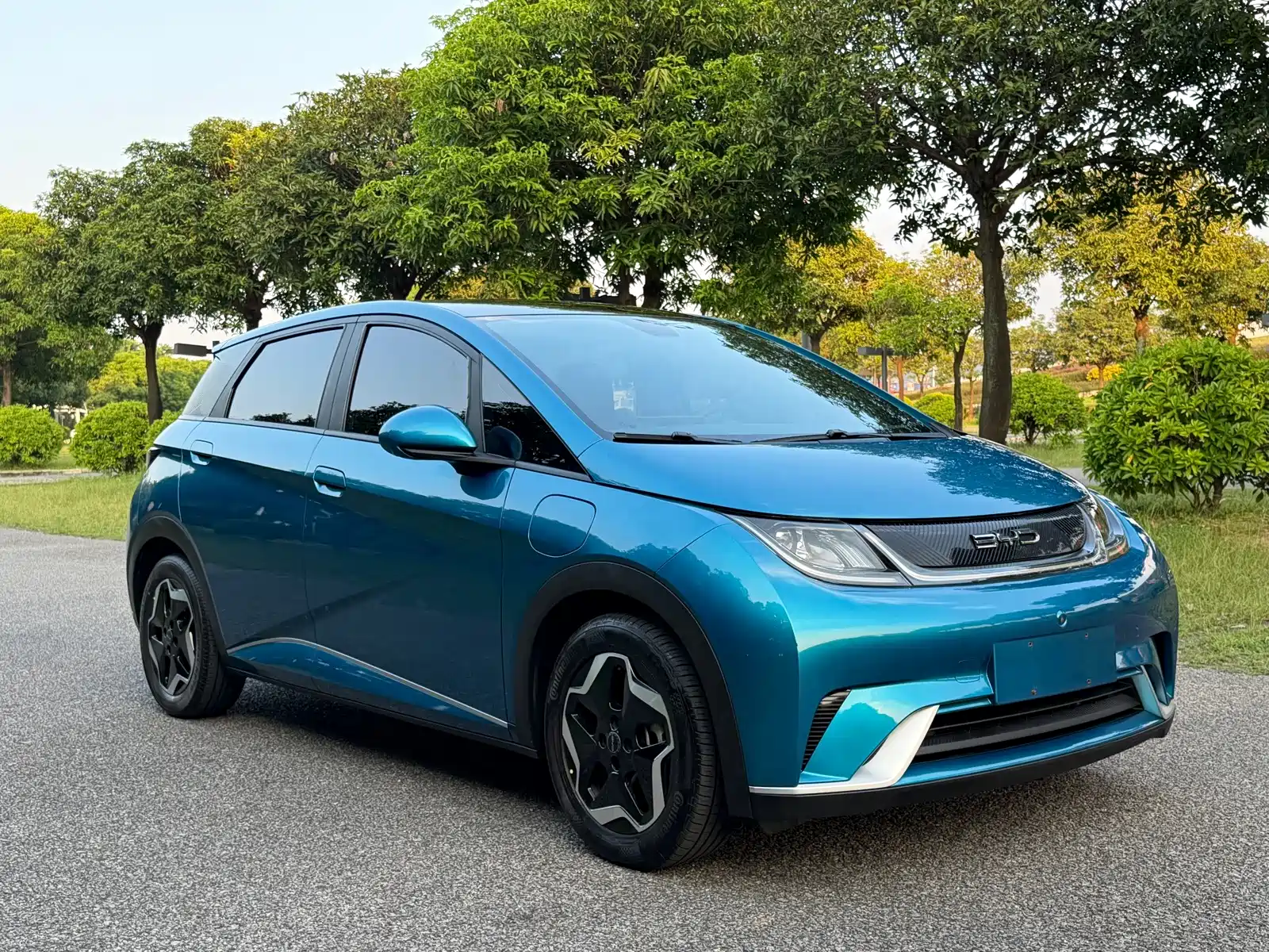 Фото 3 - BYD Dolphin