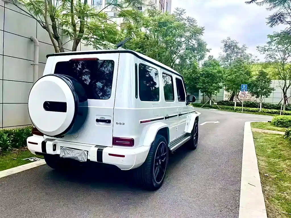 Mercedes-Benz G-Class AMG 2019 AMG G 63 фото 10