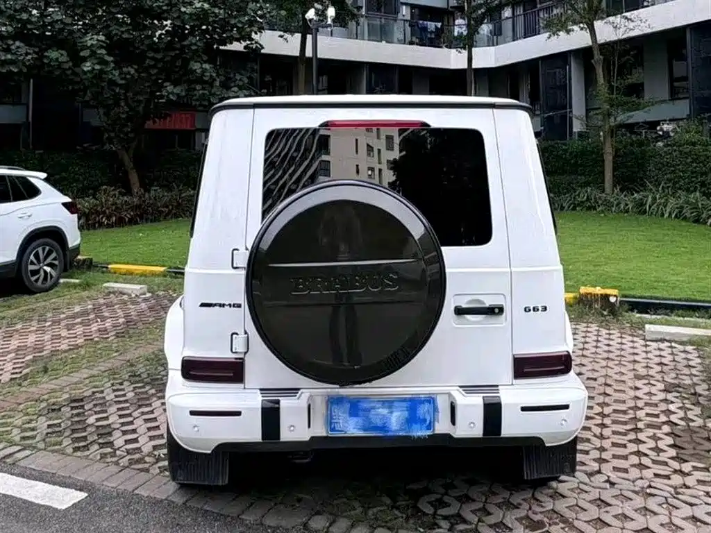Mercedes-Benz G-Class 2019 G 500 фото 2