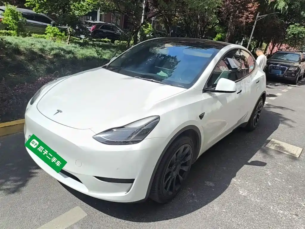 Tesla Model Y 2022 Rear-Wheel Drive Version