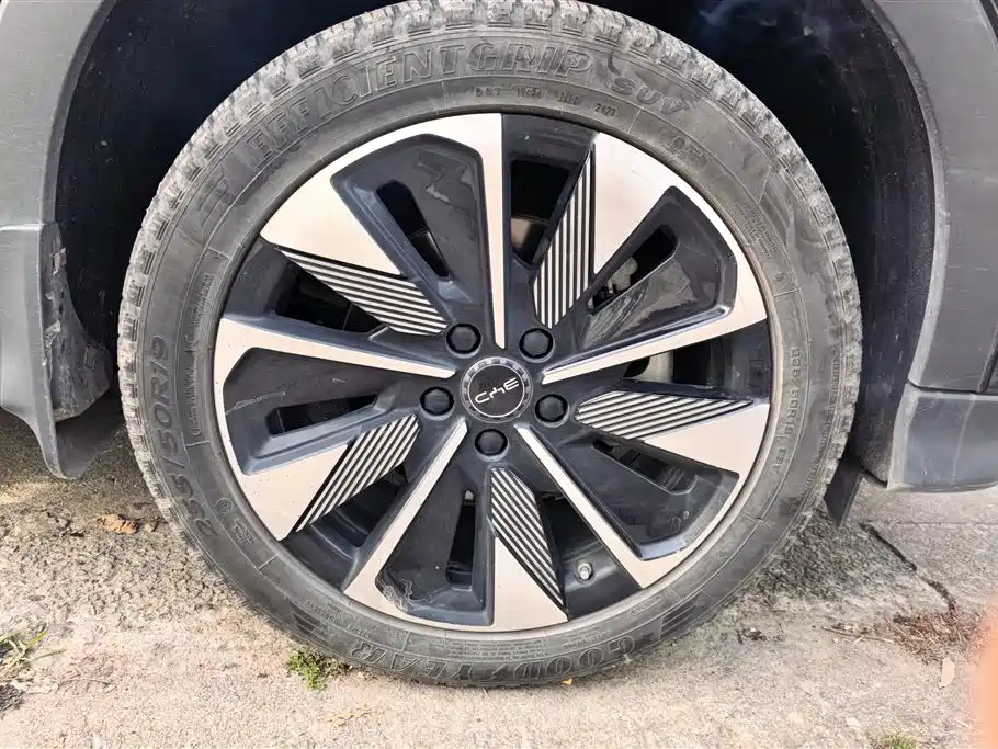 BYD SONGJIANG NEW ENERGY