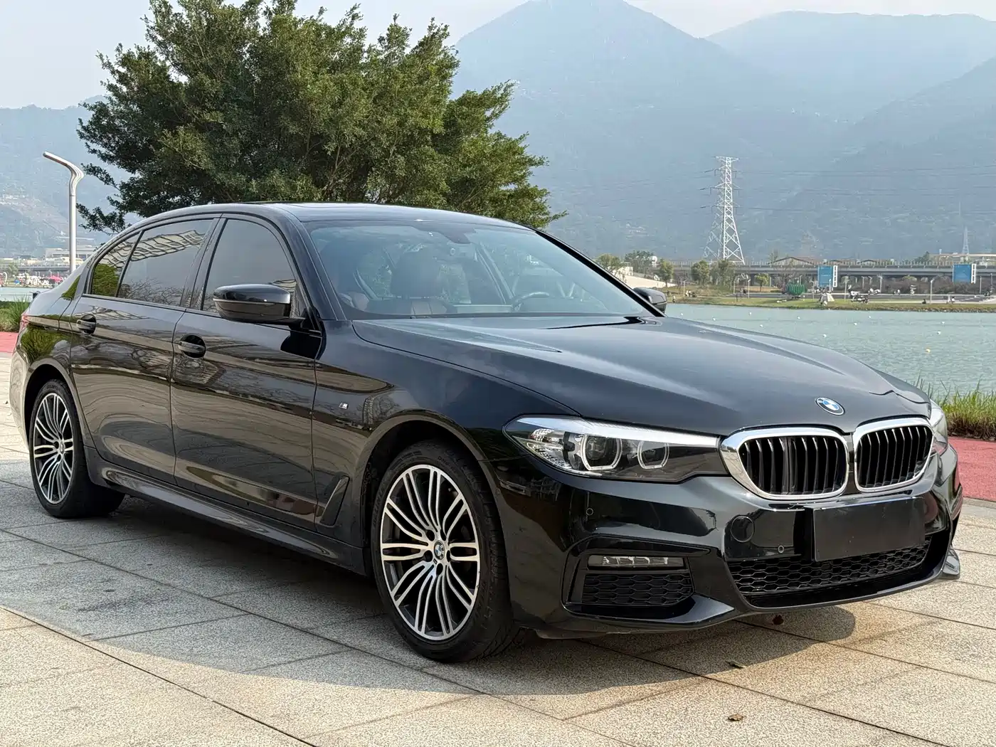BMW 5 Series 2019 530Li Leading M Sport Package фото 3