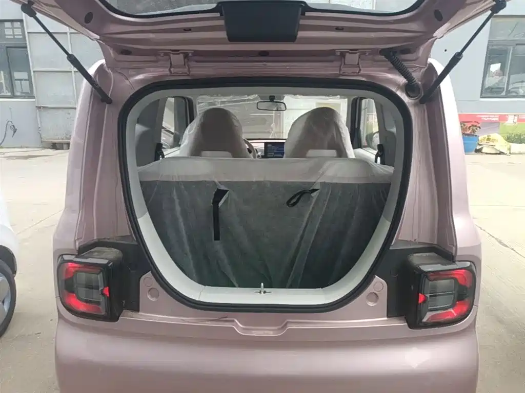 Geely Galaxy Panda 2025 Panda mini 210km Vitality Bear фото 19