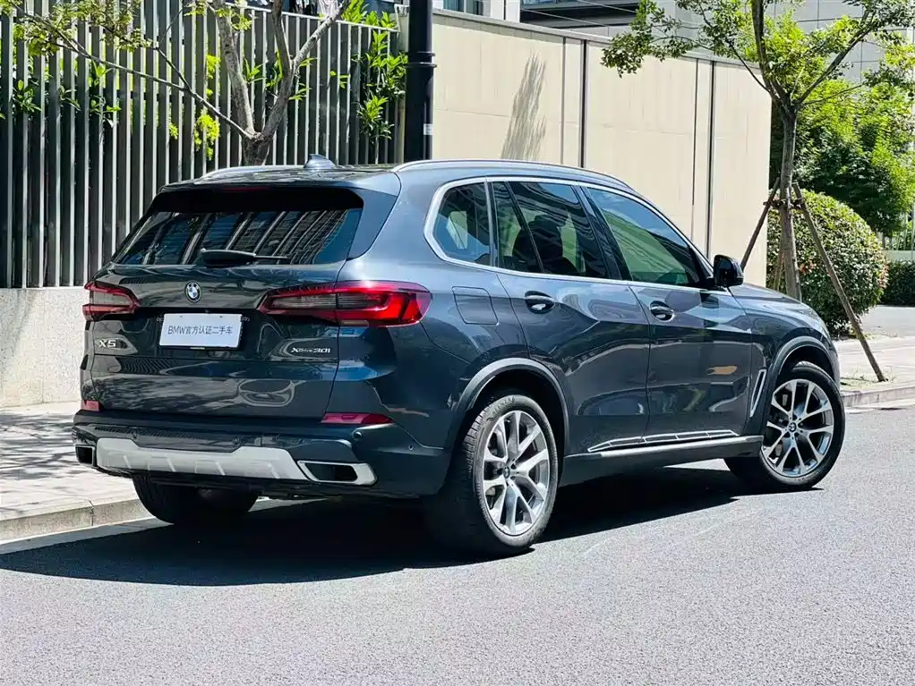 BMW X5 (Import) 2020 xDrive30i X Design Package фото 3