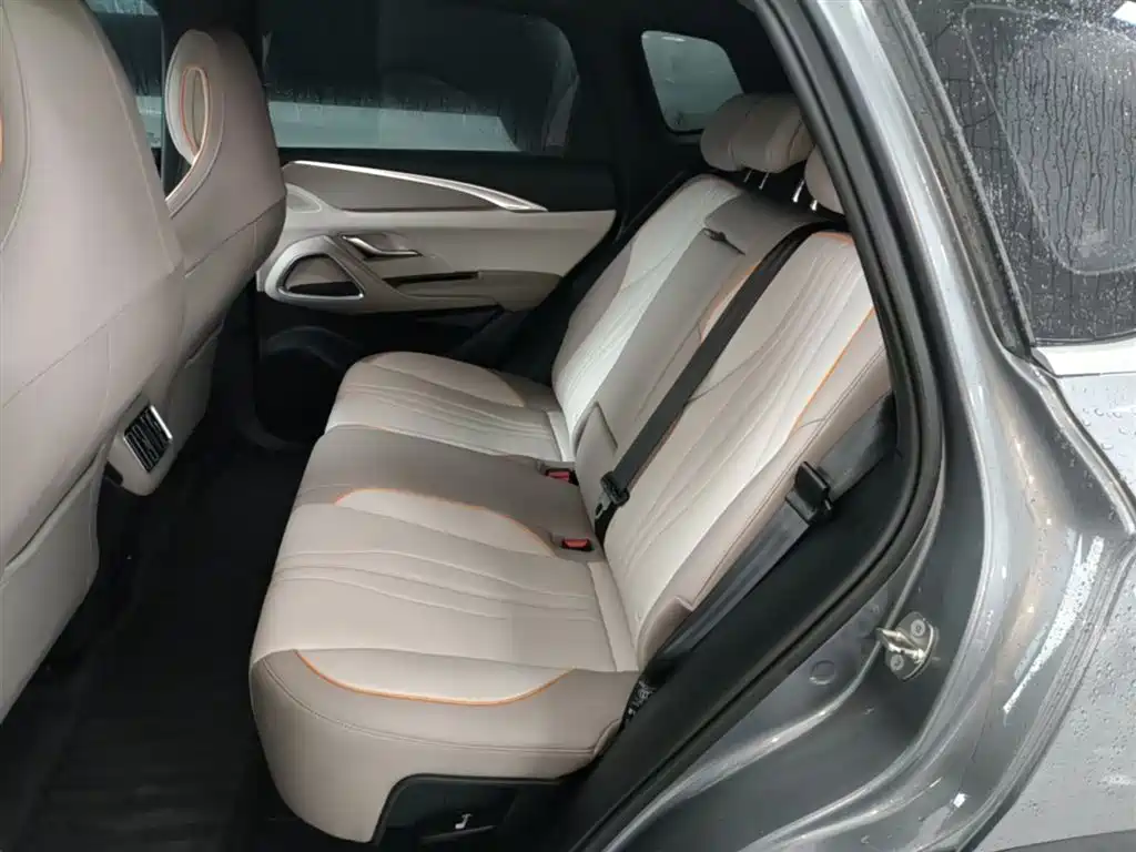 BYD Song Pro New Energy 2024 Glory Edition DM-i 71KM Pilot фото 17