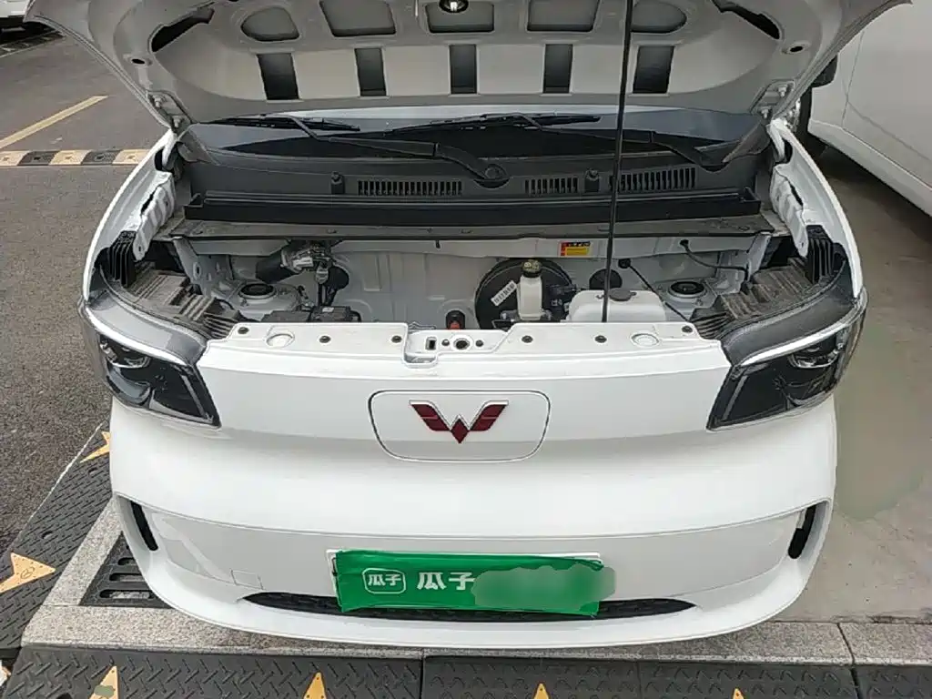 Wuling Motors Wuling Zhiguang NEV 2026 2025 Model 305km Base Version