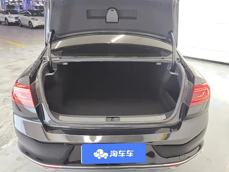 Volkswagen Magotan 2020 330TSI DSG Luxury фото 4