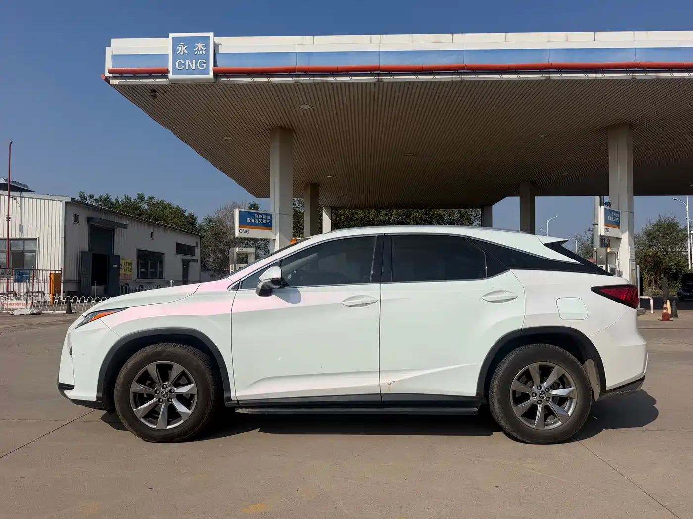 صورة 8 - Lexus RX