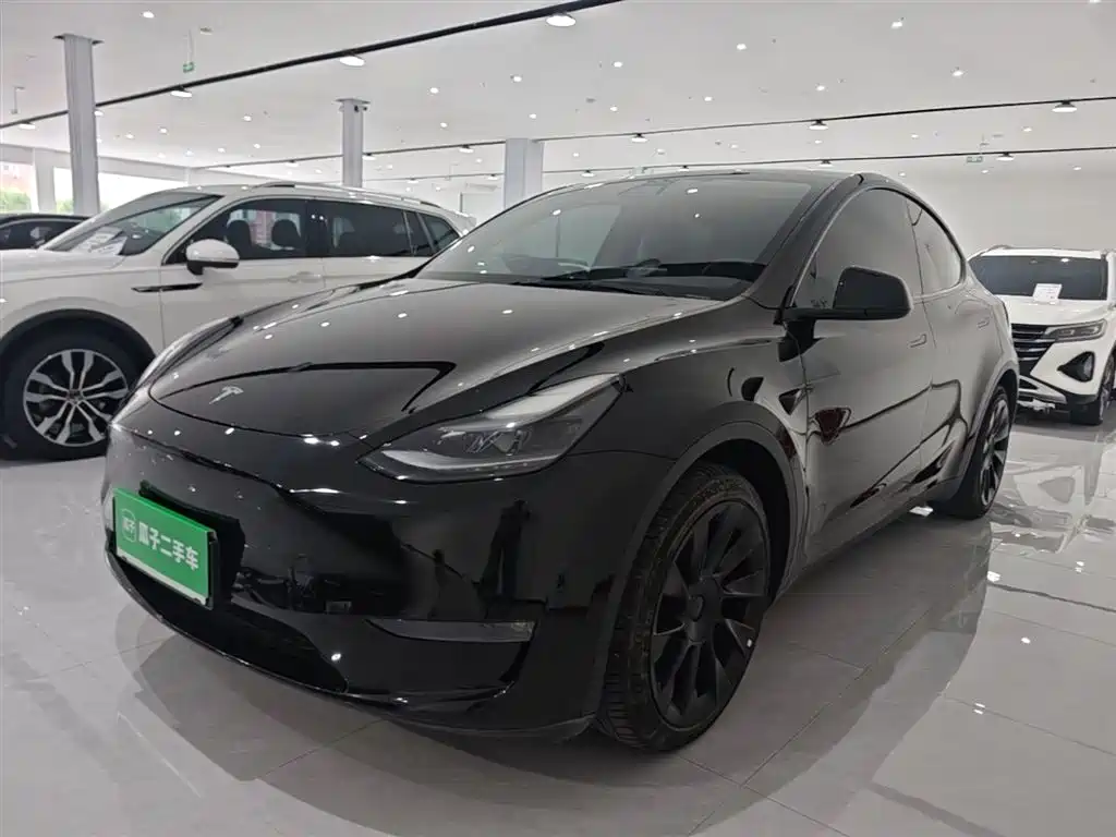 Tesla Model Y 2021 Standard Range Rear-Wheel Drive
