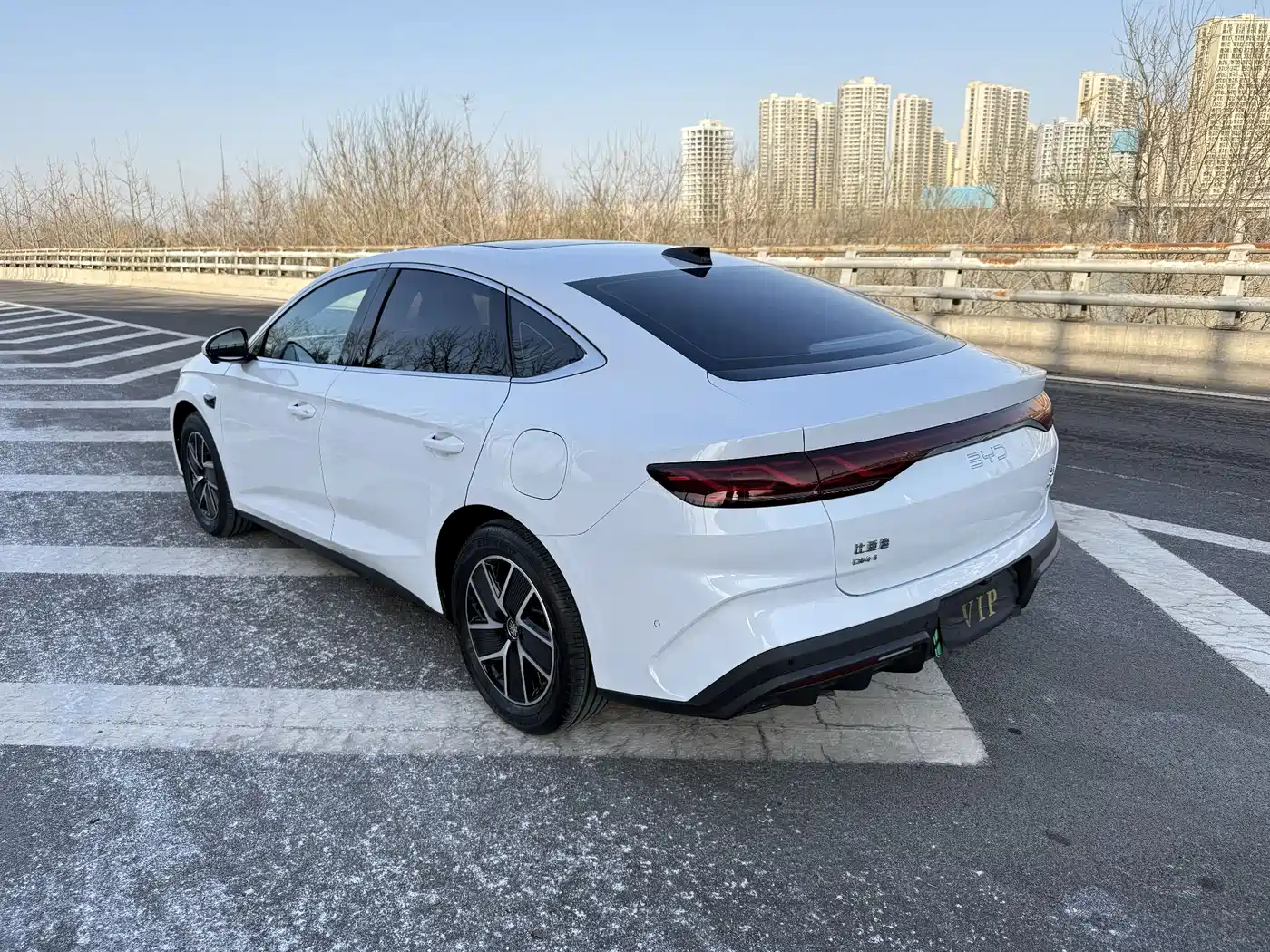 BYD QIN L