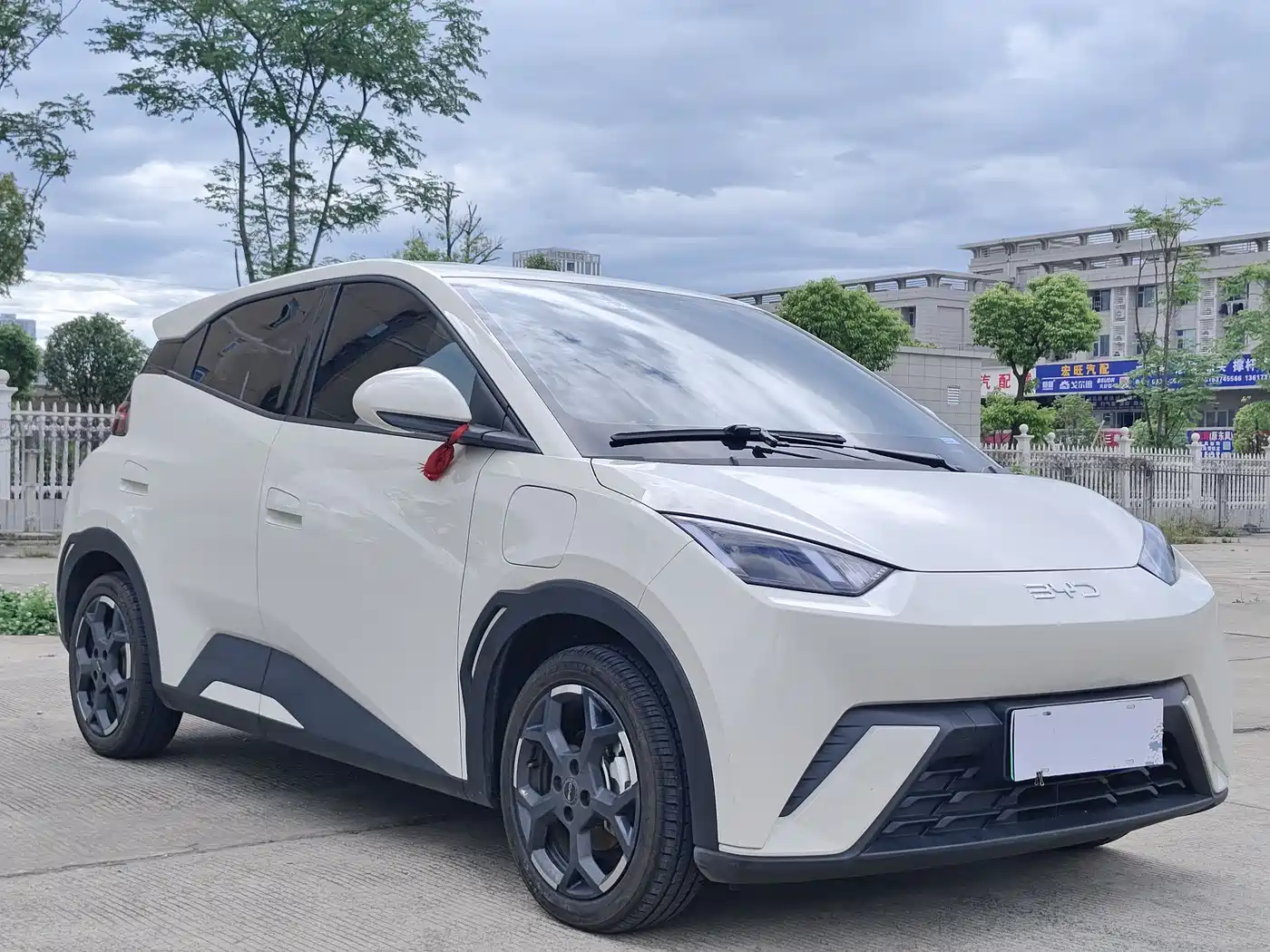 BYD Seagull 2025 Smart Drive Edition 305km Freedom Version фото 3