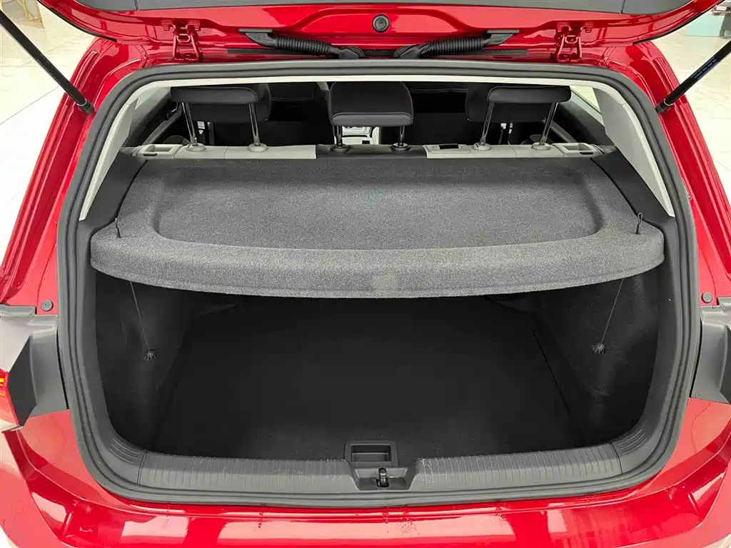 Volkswagen Golf 2021 280TSI DSG 30th Anniversary Edition фото 16