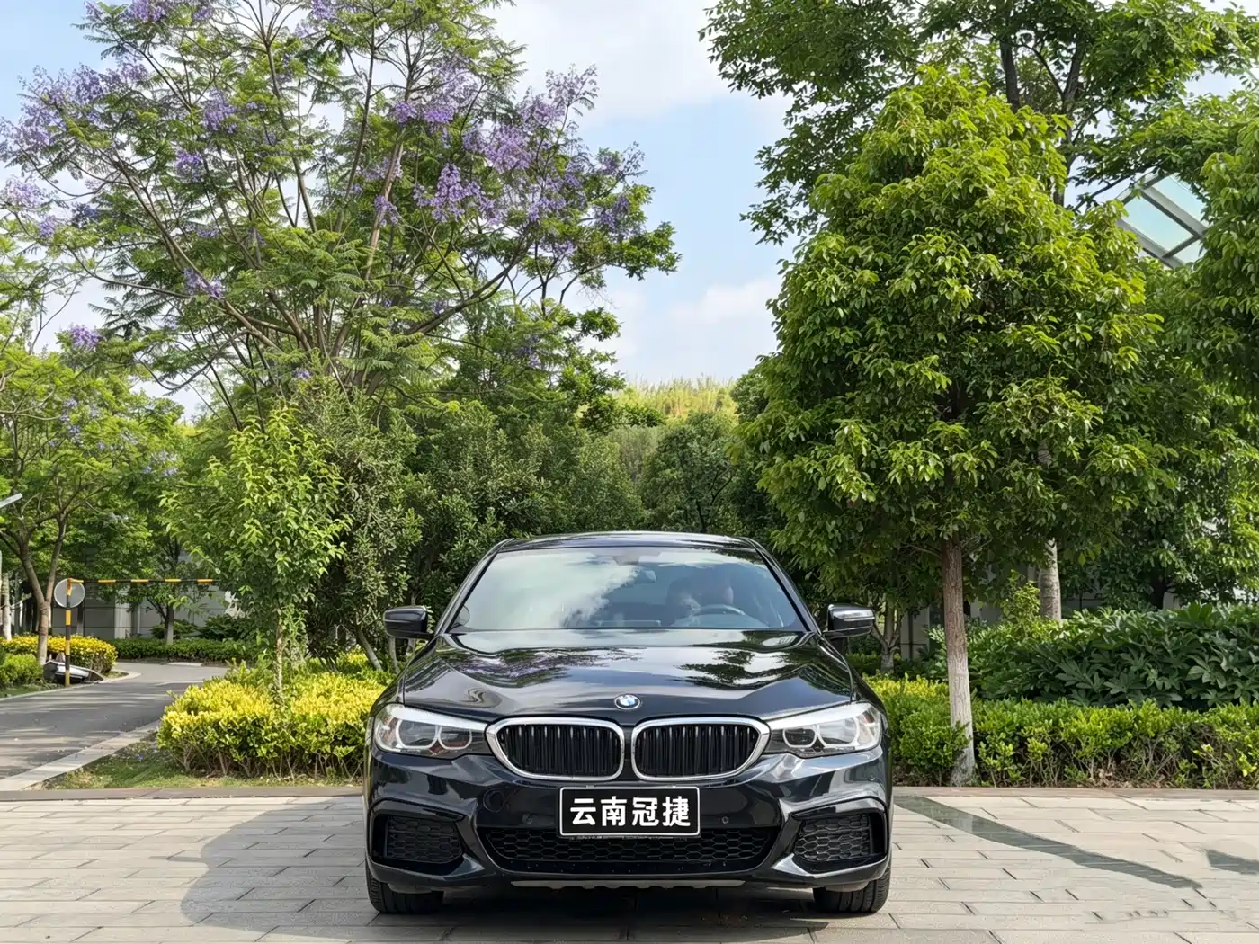 BMW 5 Series 2019 Facelift 530Li Leading M Sport Package фото 2