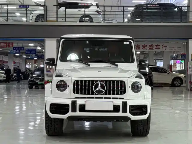 MERCEDES-BENZ G CLASS