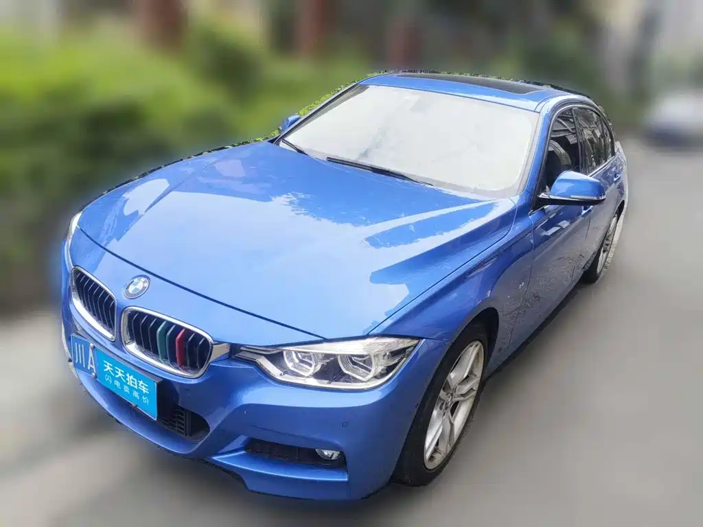 BMW 3 Series 2019 320Li M Sport Package