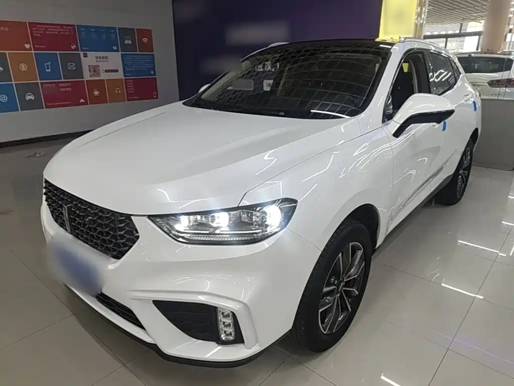 WEY VV5 2020 2020 1.5T 2WD Smart Pioneer