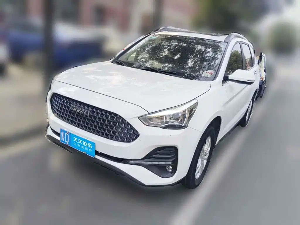 Haval M6 2019 1.5T Manual 2WD Elite Type China VI