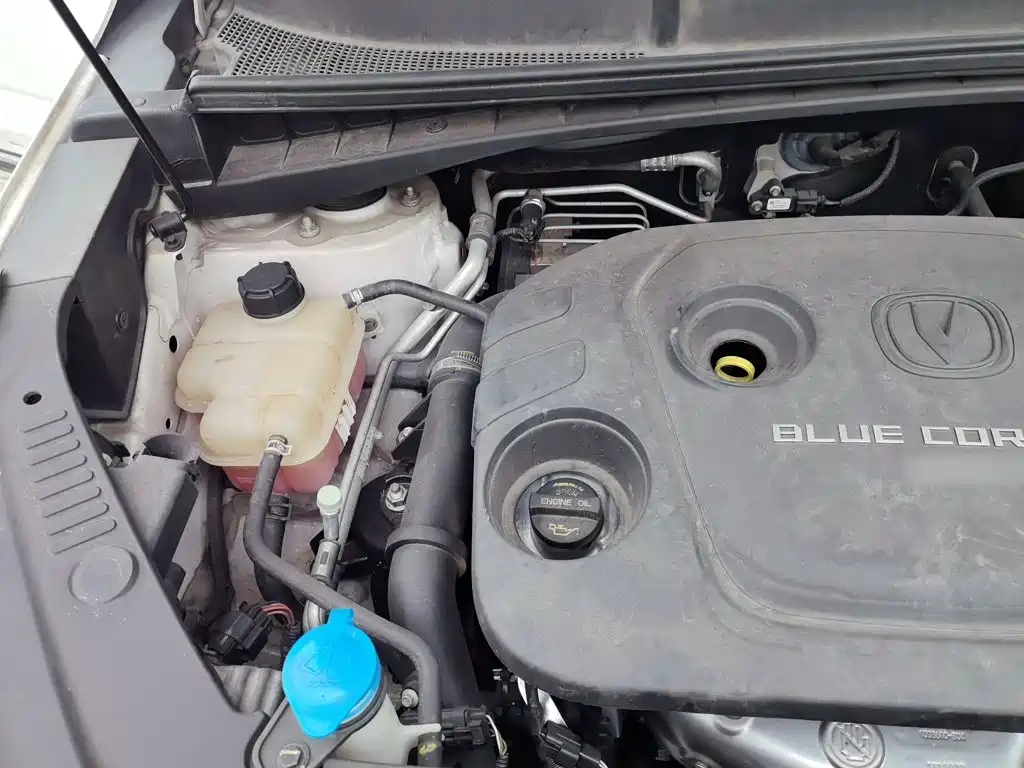 Changan CS55 2018 2018 1.5T Automatic Chromatic China V