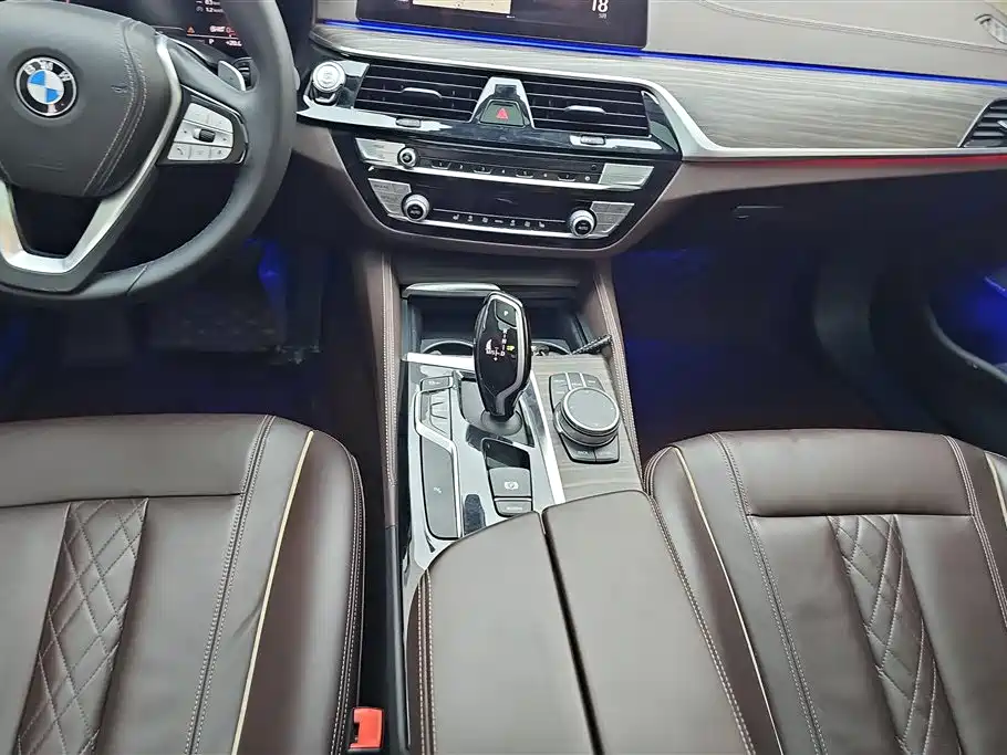 BMW 5 Series 2021 530Li Leading Luxury Package фото 16