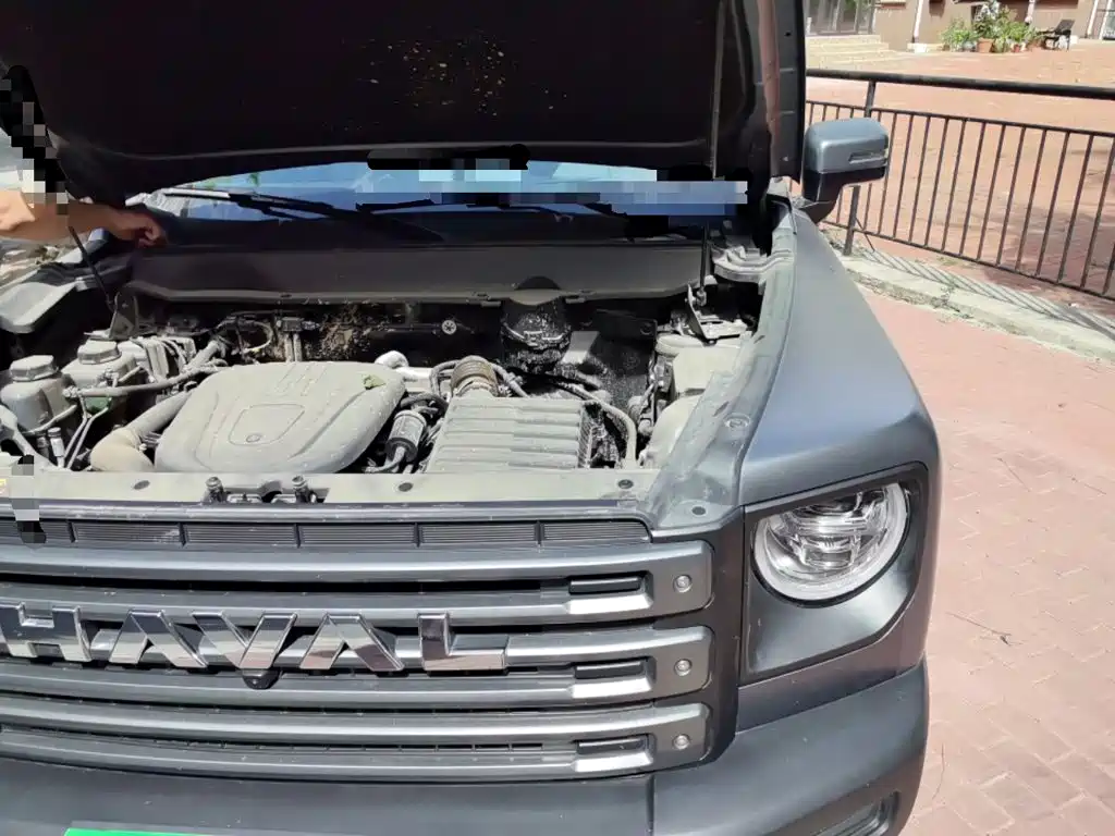 Haval Meng Long NEV 2025 2024 Hi4 145 Pro