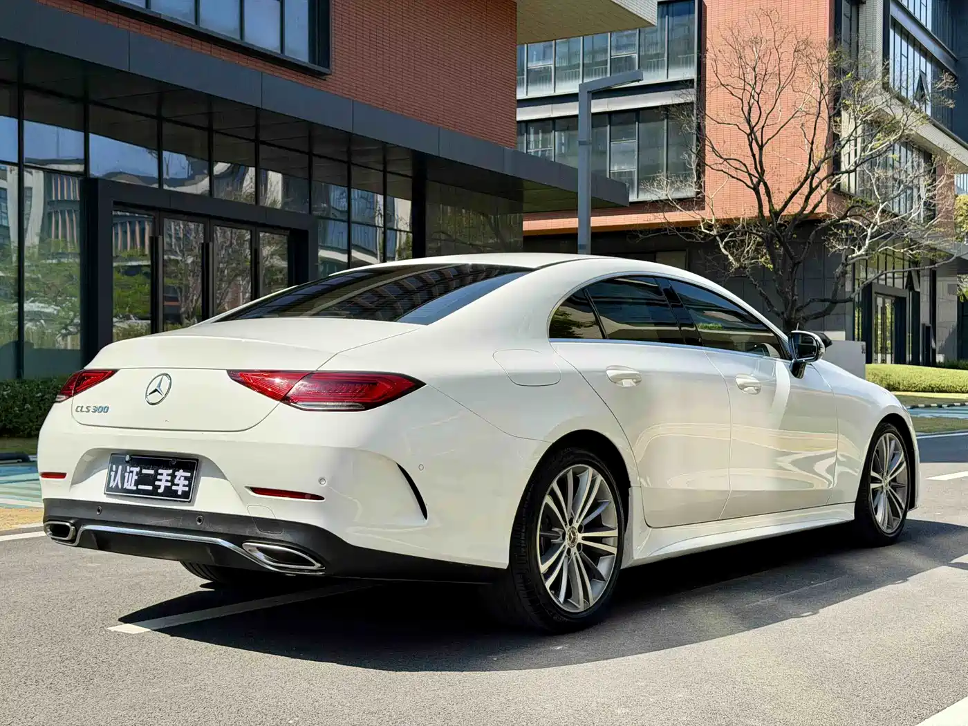 Mercedes-Benz CLS 2020 CLS 300 Dynamic фото 6