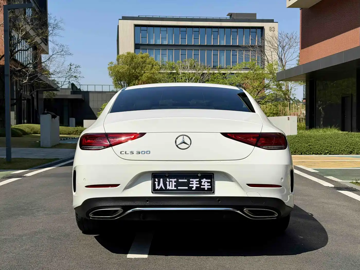 Mercedes-Benz CLS 2020 CLS 300 Dynamic фото 5