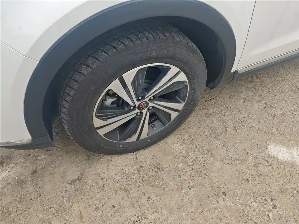 Hongqi HS5 2019 2.0T Smart Connect Enjoy Edition фото 25