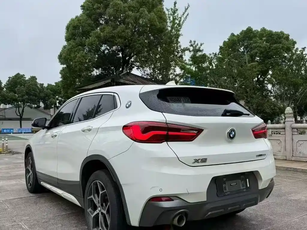 BMW X2 (Import) 2019 2019 sDrive20i M Off-Road Package China VI