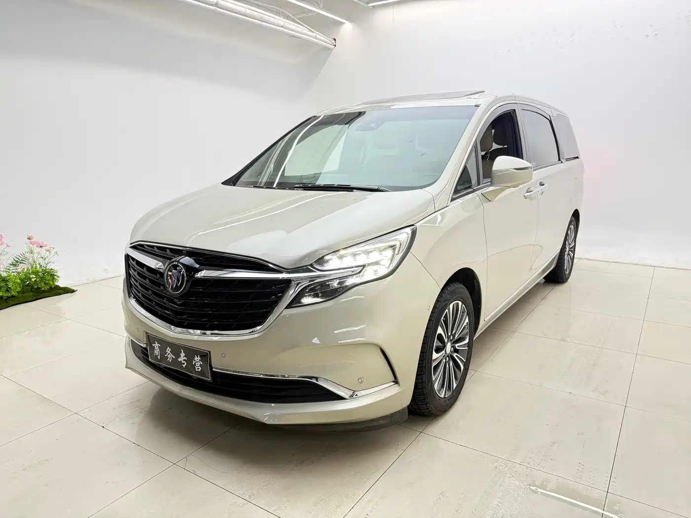 Buick GL8 2022 ES Landmark 653T Flagship