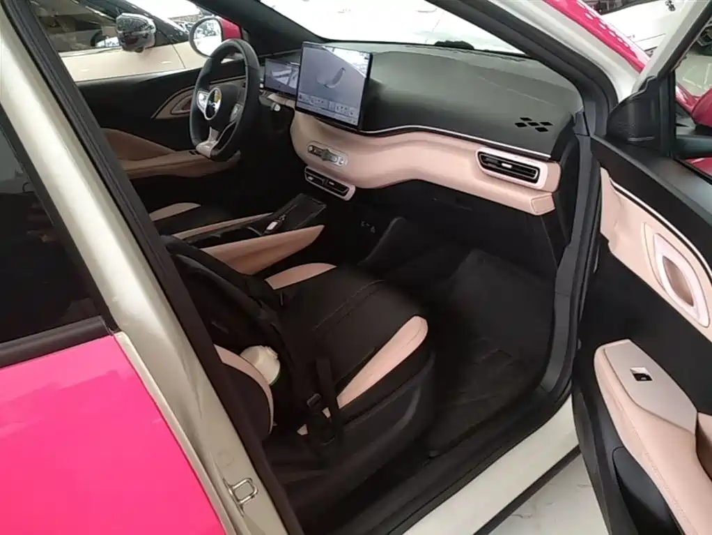 BYD Seagull 2025 Smart Drive Edition 305km Freedom Version фото 25
