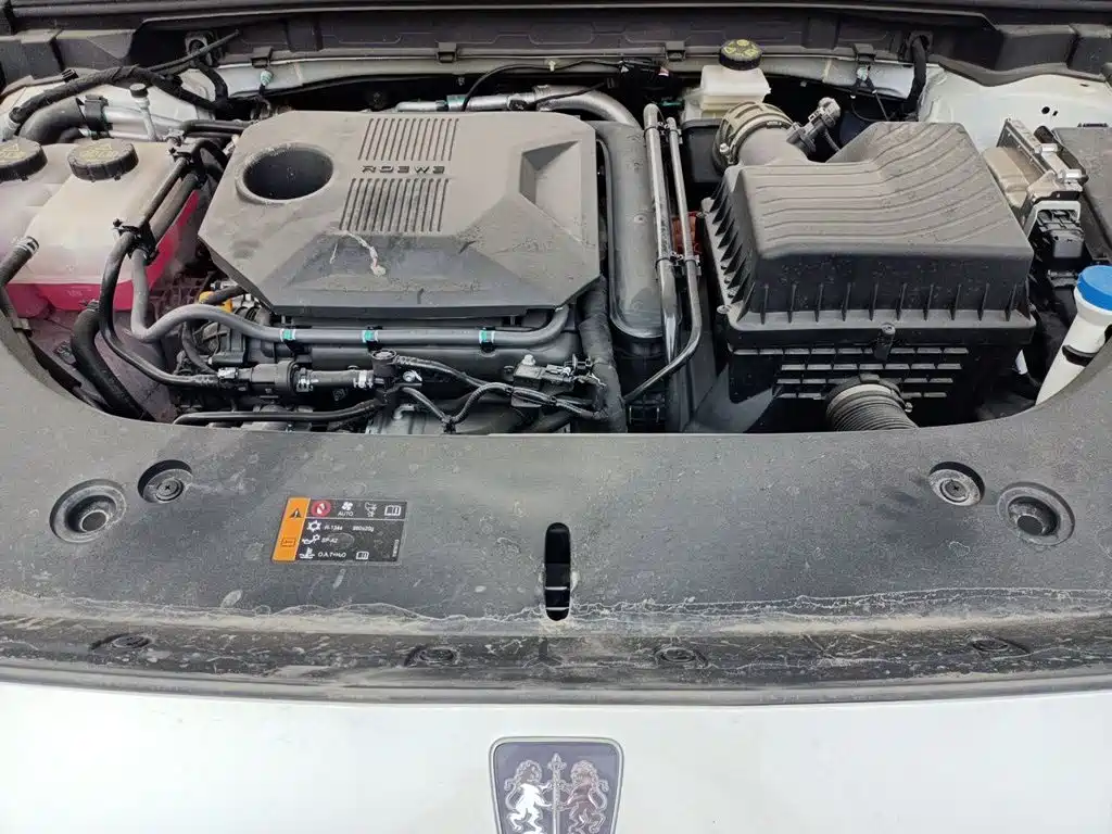 Фото 21 - Roewe D5X DMH