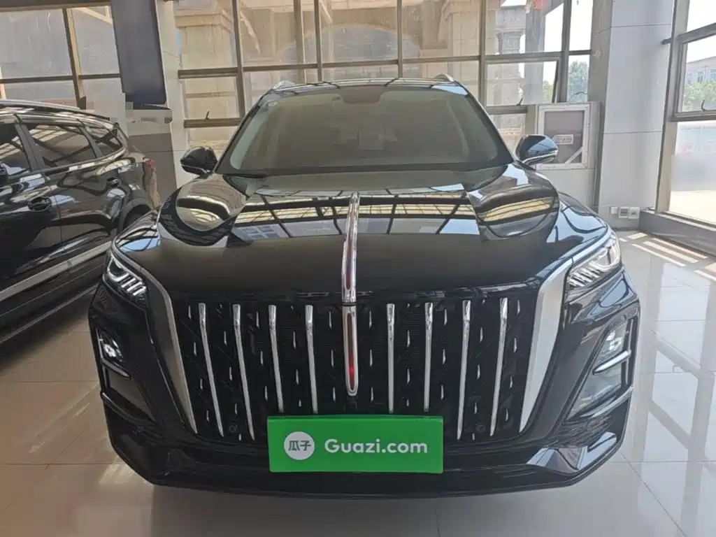Фото 3 - Hongqi HS5
