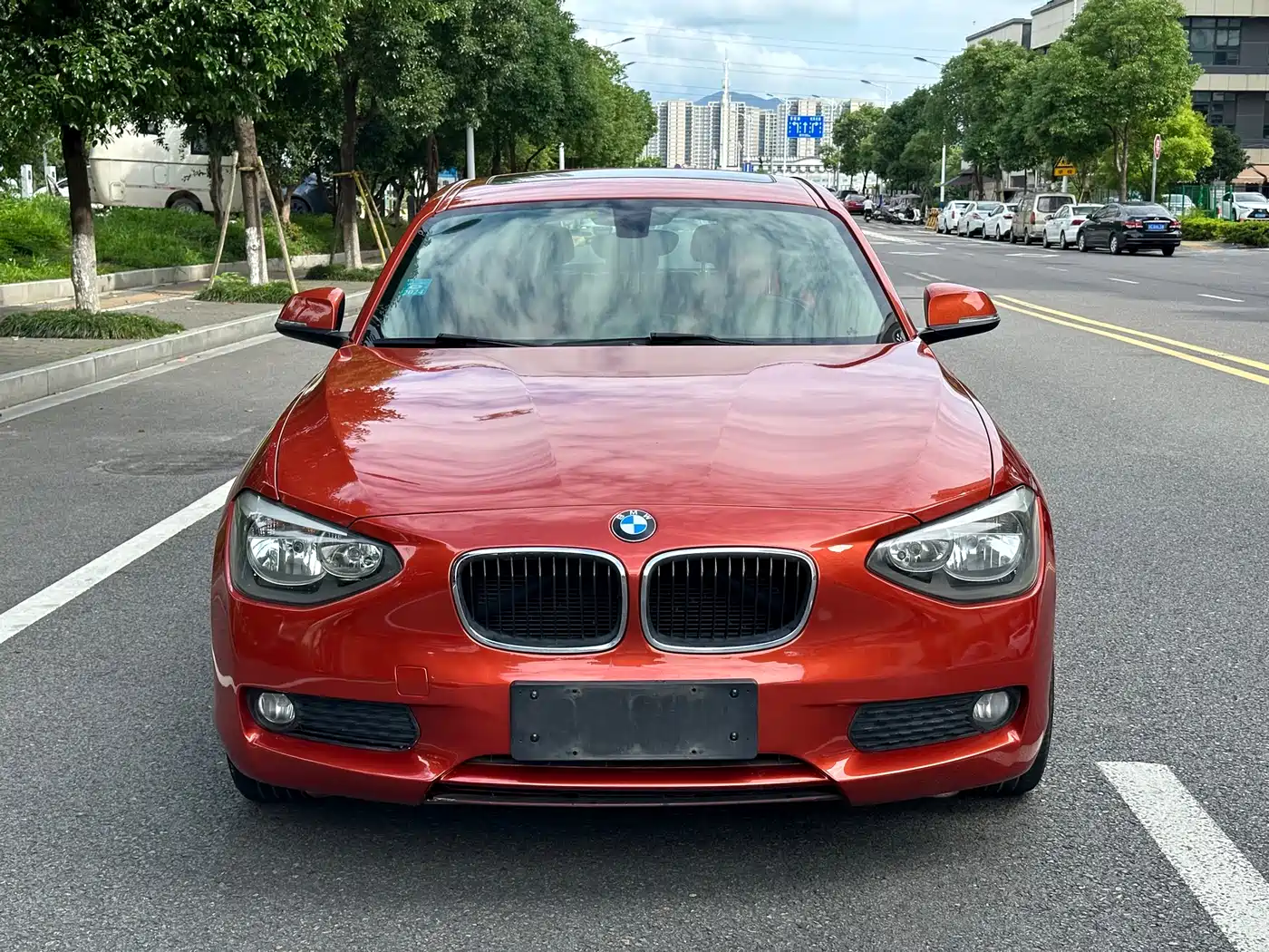 BMW 1 Series (Import) 2013 Facelift 116i Leading Model фото 2