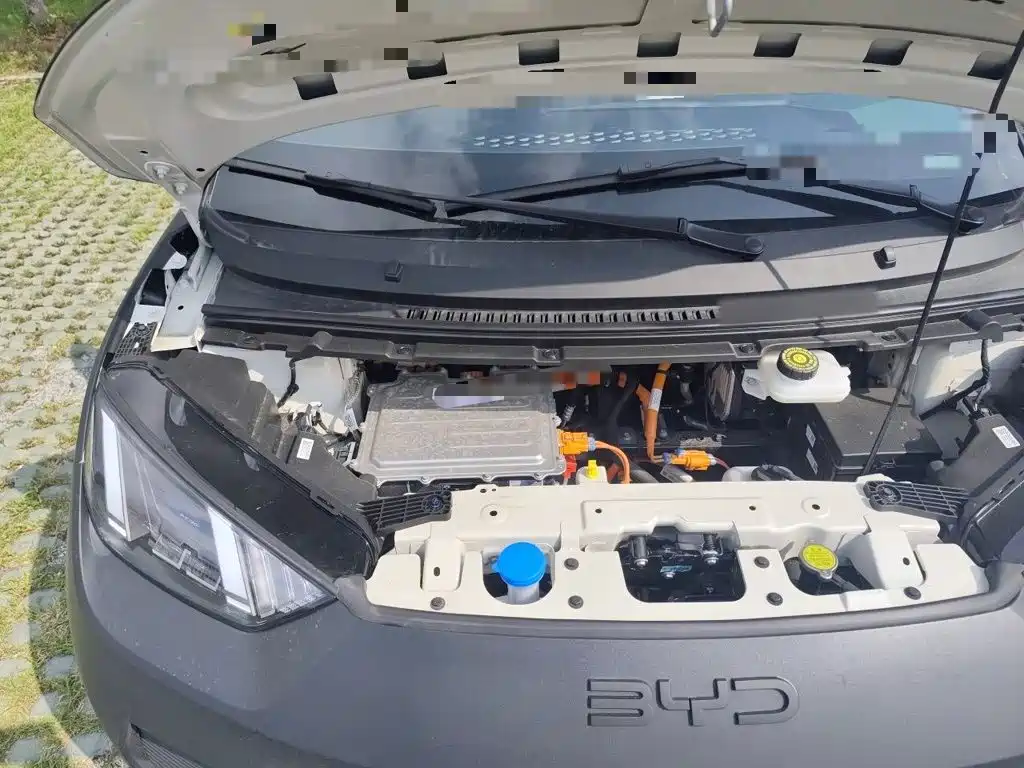 BYD Seagull 2026