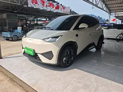 BYD Seagull