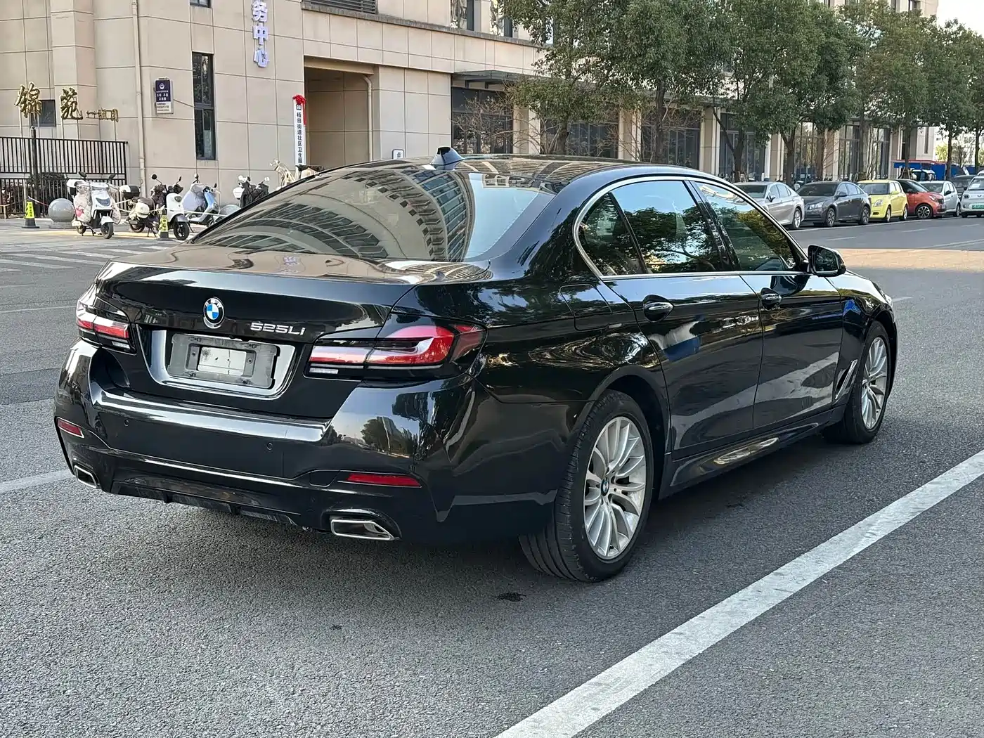 BMW 5 Series 2014 525Li Luxury Design Package фото 15