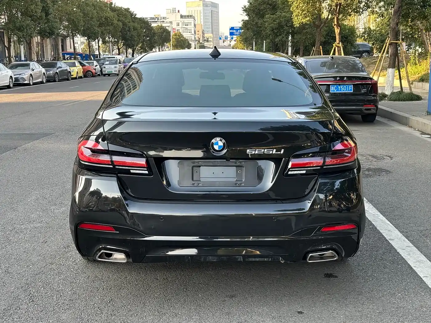 BMW 5 Series 2014 525Li Luxury Design Package фото 16
