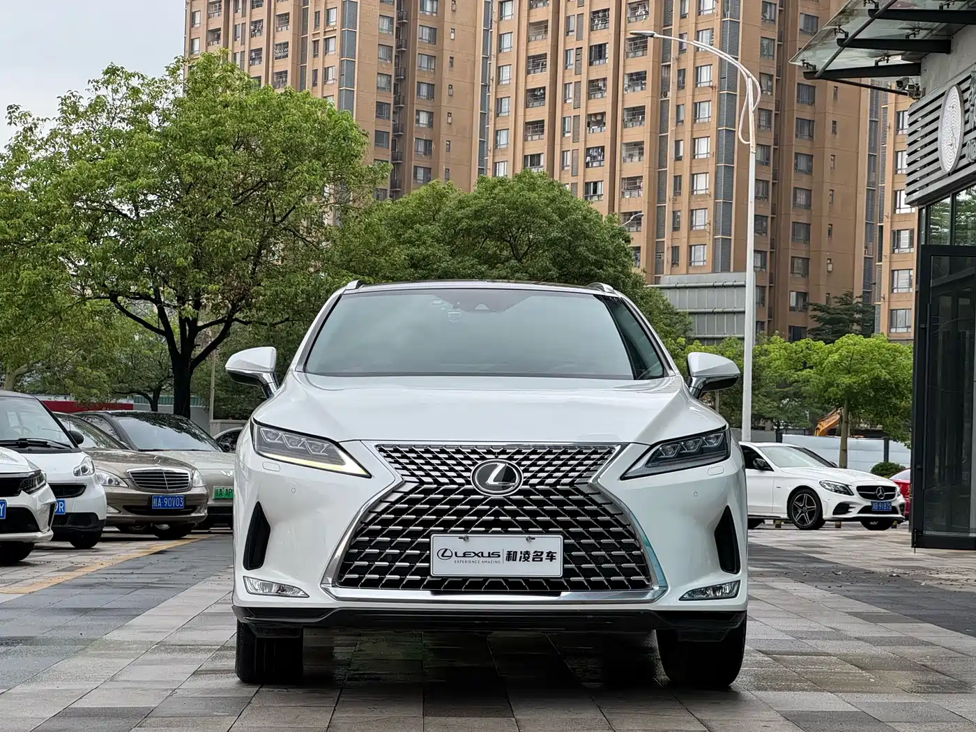 LEXUS RX