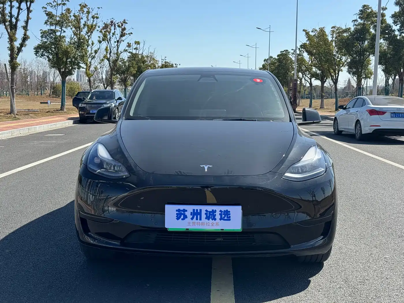 TESLA MODEL Y