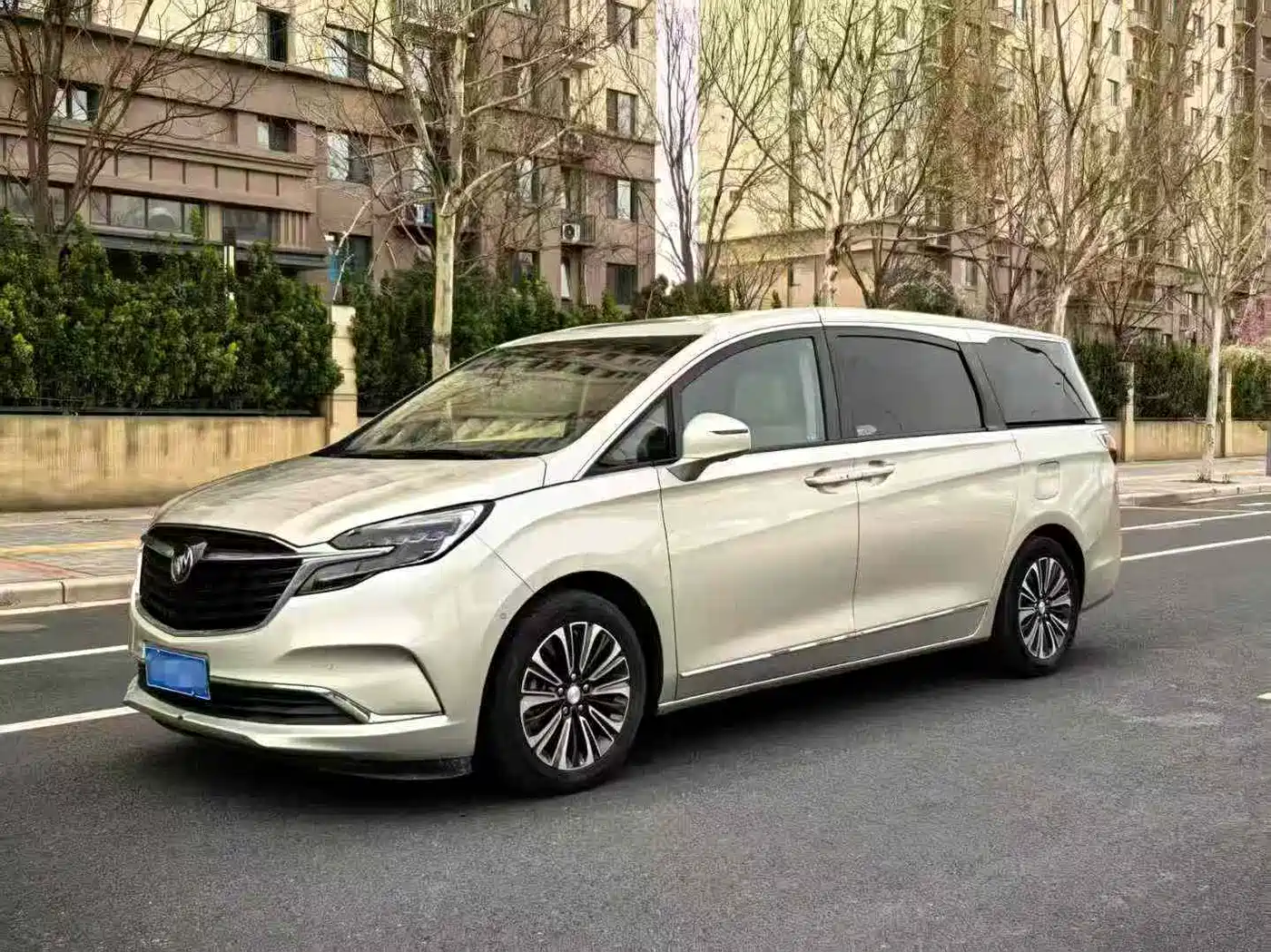 Buick GL8 2021 ES Landlord 653T Luxury фото 3