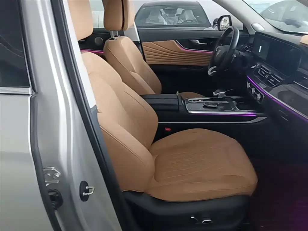 Hongqi HS5 2023 2.0T 4WD Flag Leader Pro фото 25