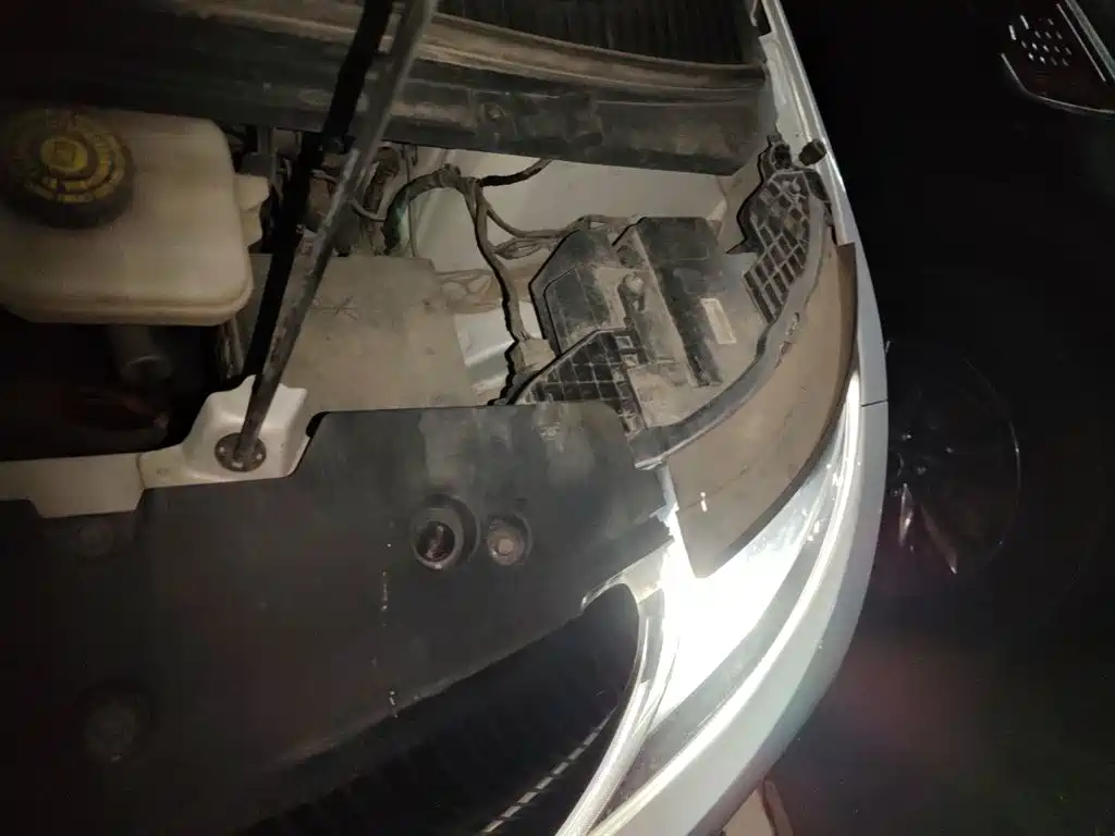 BYD Dolphin 2021 2021 405km Freedom Edition