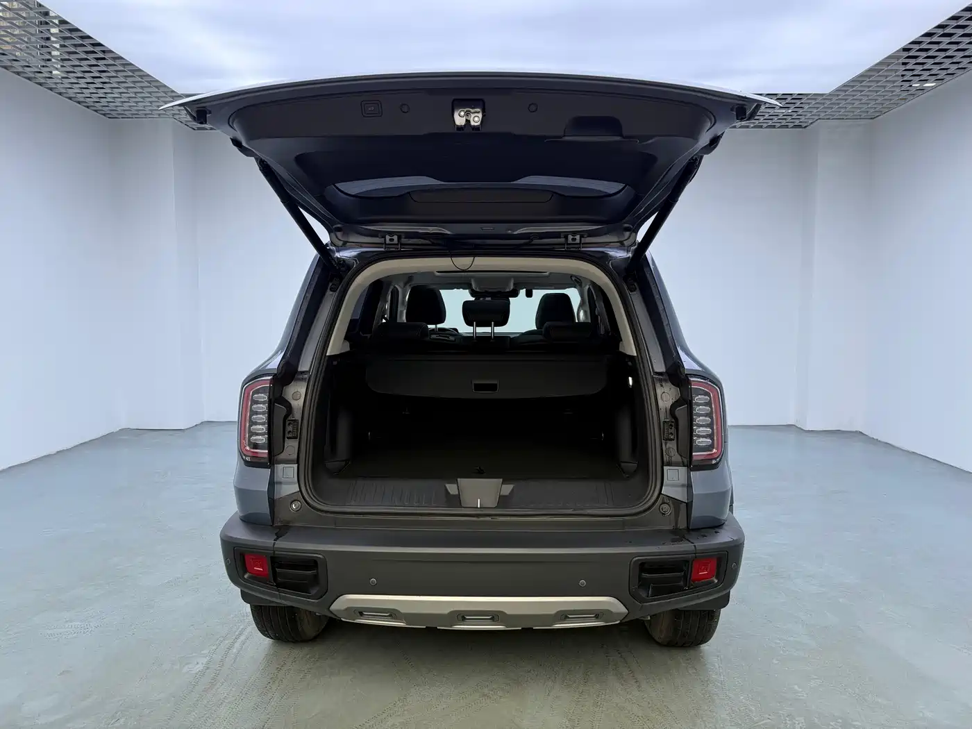 Haval Big Dog 2022 1.5T DCT FWD Malinois Edition фото 9